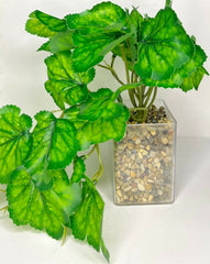 WhatsApp Image 2025-06-14 at 15.23.35