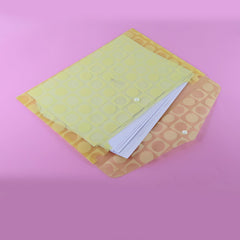 Document Envelope