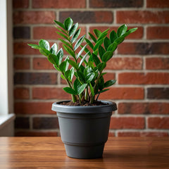 Bright assorted color plastic pots suitable for balcony or garden