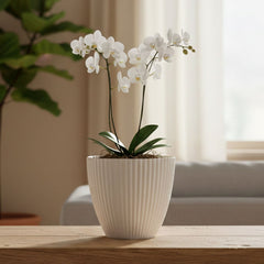 Indoor planter with modern ribbed design