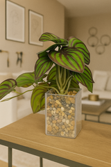 ChatGPT Image Jun 14, 2025, 04_22_08 PM