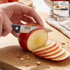 Apex stainless steel fruit knife with riveted handle