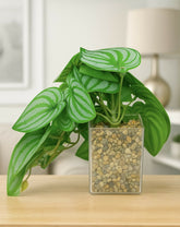 ChatGPT Image Jun 14, 2025, 04_41_53 PM