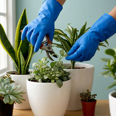 Close-up of blue cleaning gloves