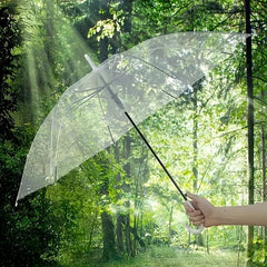 Windproof clear dome umbrella with wide coverage