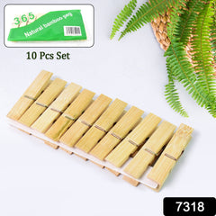 Close-up of timber hold cloth clips set