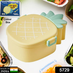 Close-up textured view of the pineapple bento box lid