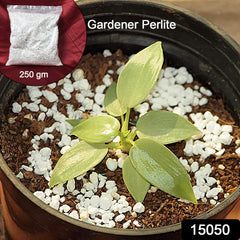 TerraBloom Perlite used in container gardening