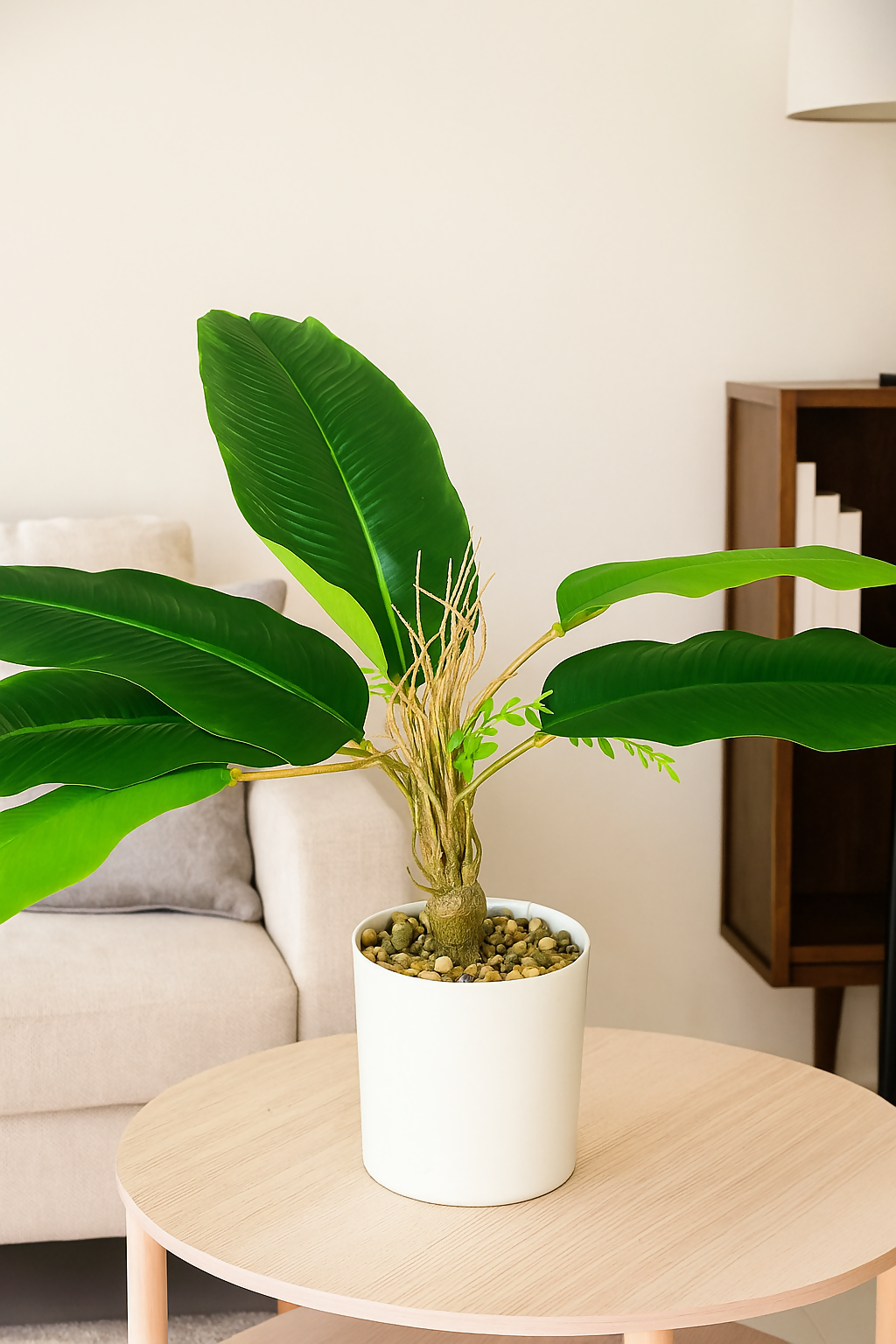 ChatGPT Image Jun 16, 2025, 11_20_08 AM