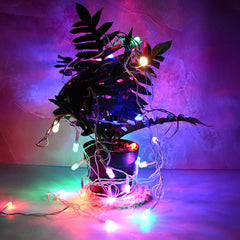 Vintage Festoon Multi-Color String Lights