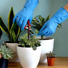 Blue gloves used for kitchen cleaning