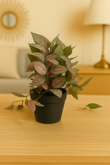 ChatGPT Image Jun 13, 2025, 04_21_49 PM