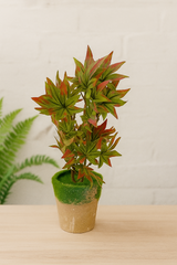 FD2DF4AA-C998-4469-A201-1B1F96A5CE07