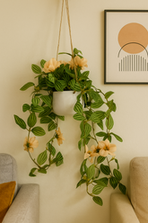 ChatGPT Image Jun 16, 2025, 12_08_45 PM