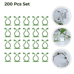 Multiple plant climbing clips supporting a growing vine on a textured wall.