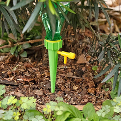Plant Rooter Green