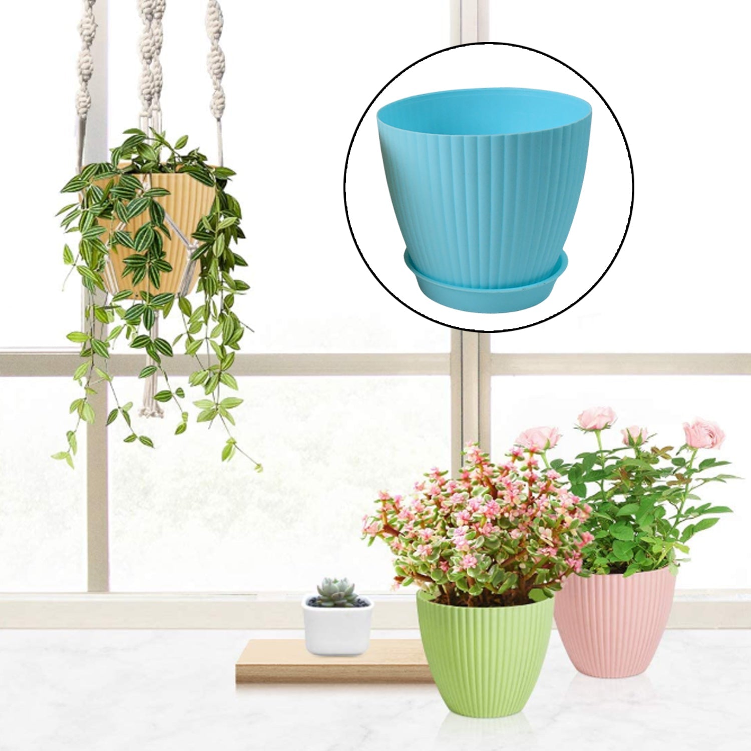 Flower pots arranged indoors with plants in them