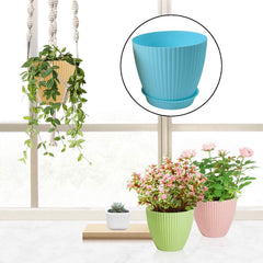 Flower pots arranged indoors with plants in them