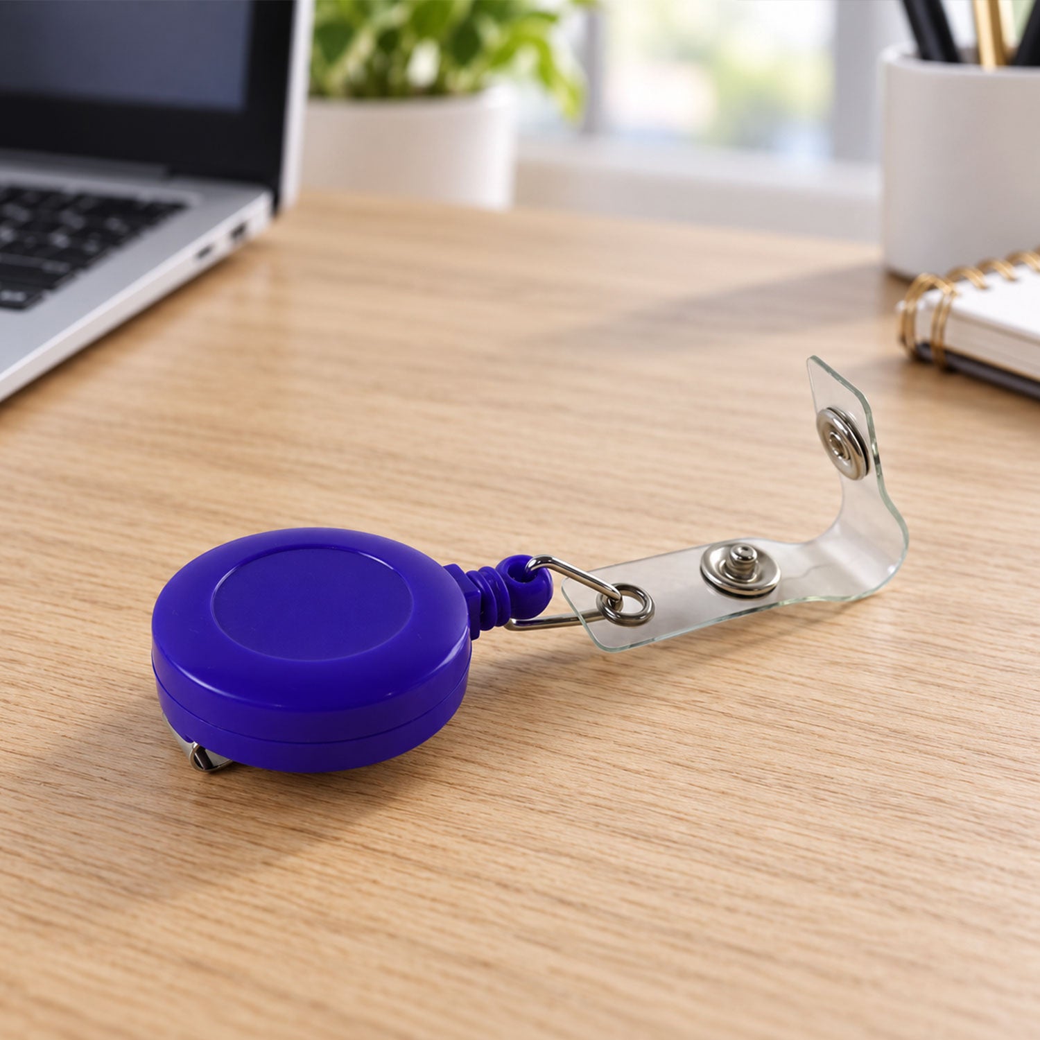 Badge reel feature view