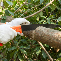 2-piece garden pruning tool combo set with hand saw and shears