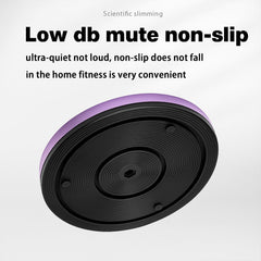 Waist Twisting Disc Portable Magnetic Body Twister Board with Acupressure Massage