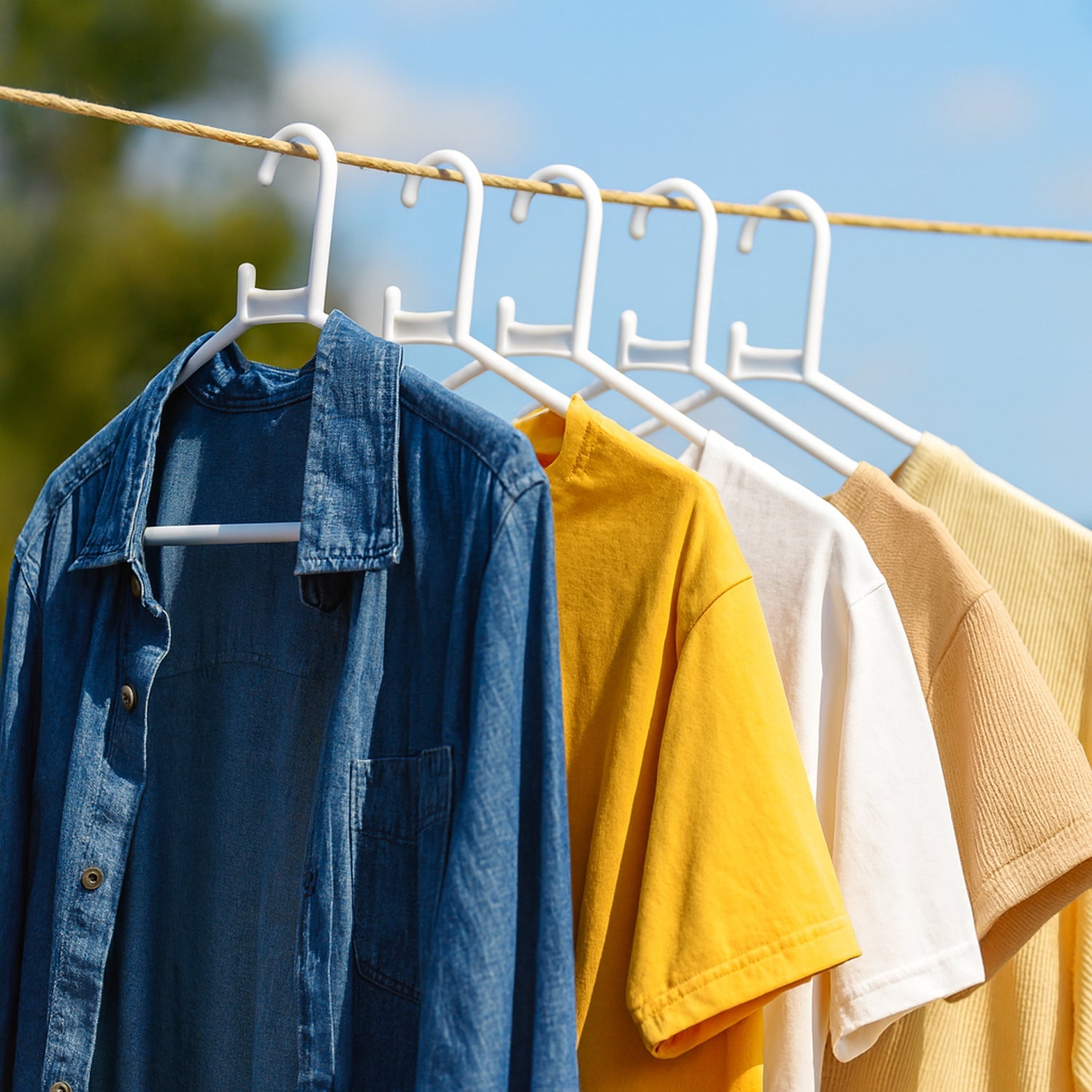 Plastic Clothes Hangers – Set of 6