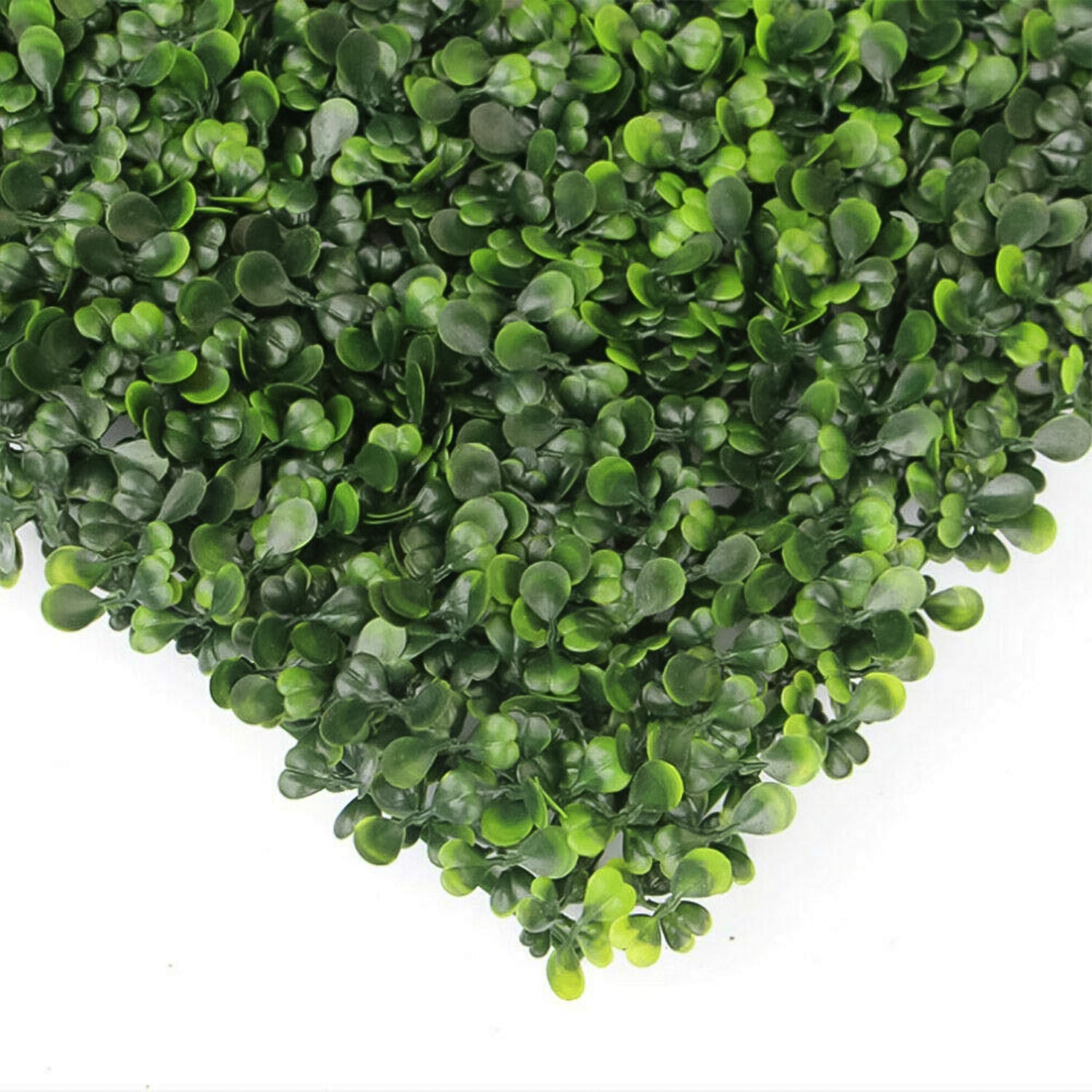 Plastic Wall Artificial Plant Base (60Ã—40 CM / 1 Pc)
