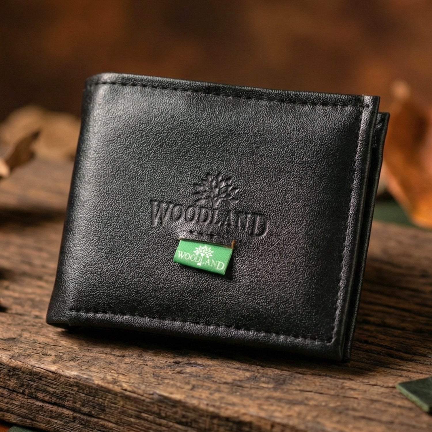 Wallet interior with cards and currency