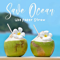 Paper Straw – Plain 6 mm Diameter, 200 mm Length, 50 Pcs Pack