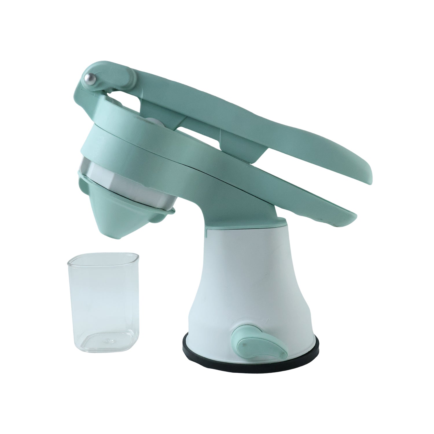 Fruit Juicer