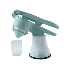 Fruit Juicer