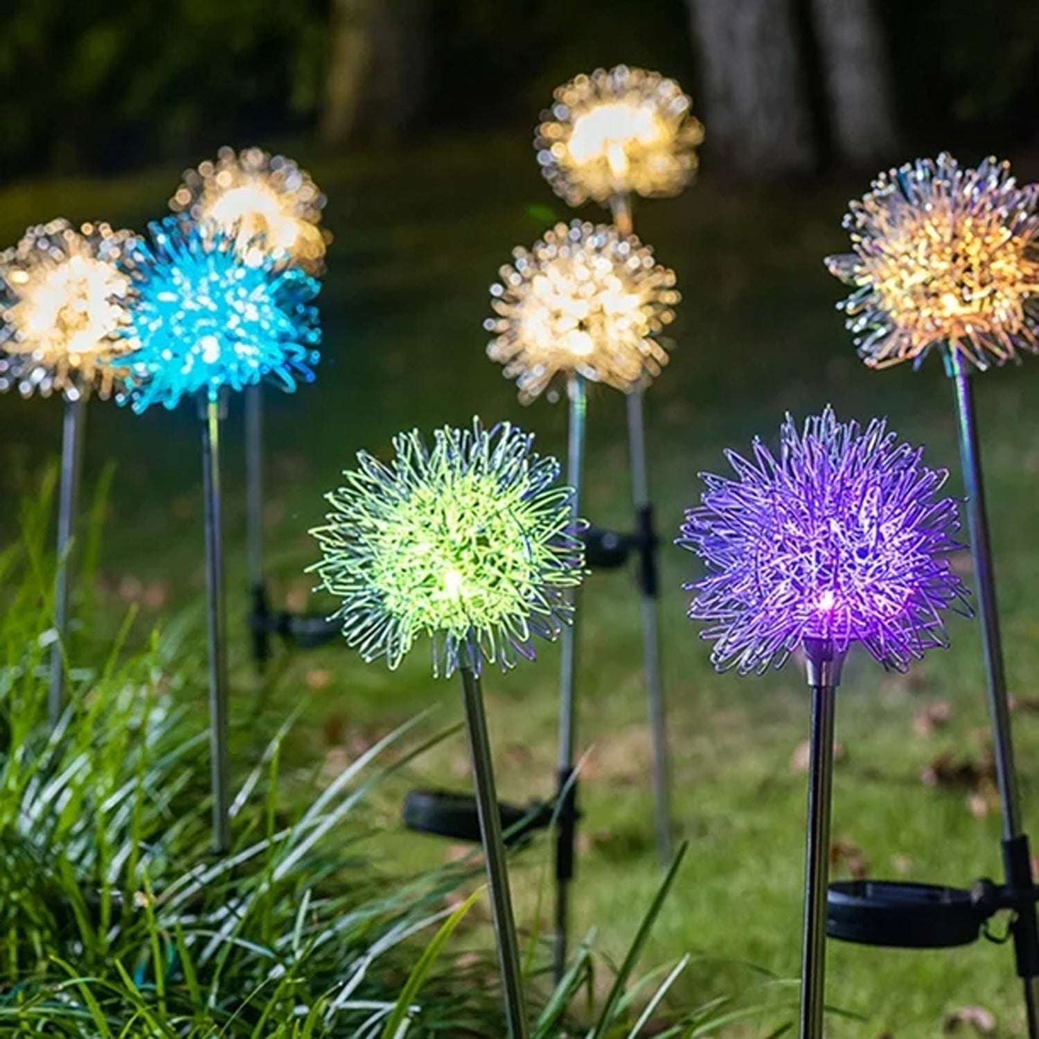 Dandelion solar lights installed in outdoor yard