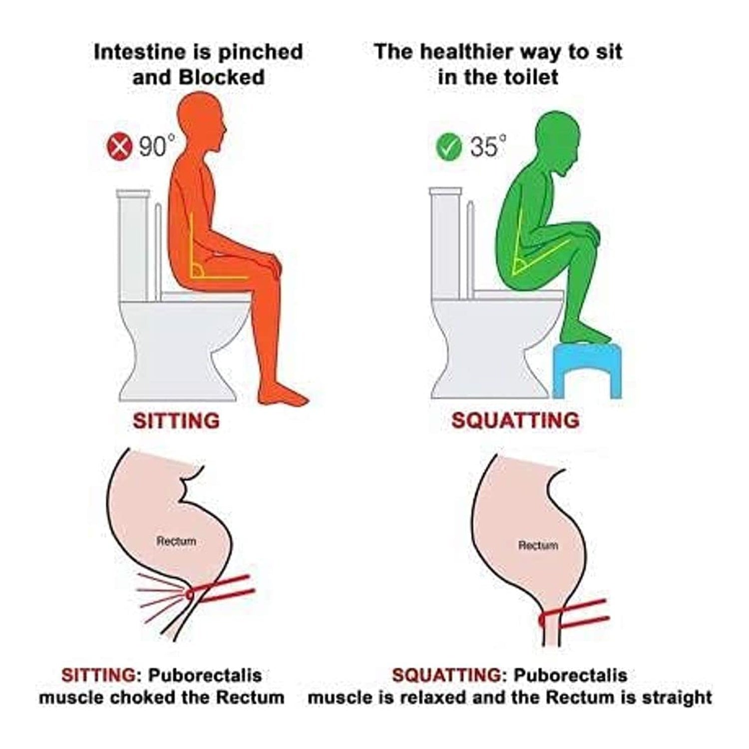 Lightweight plastic folding toilet squat stool in bathroom