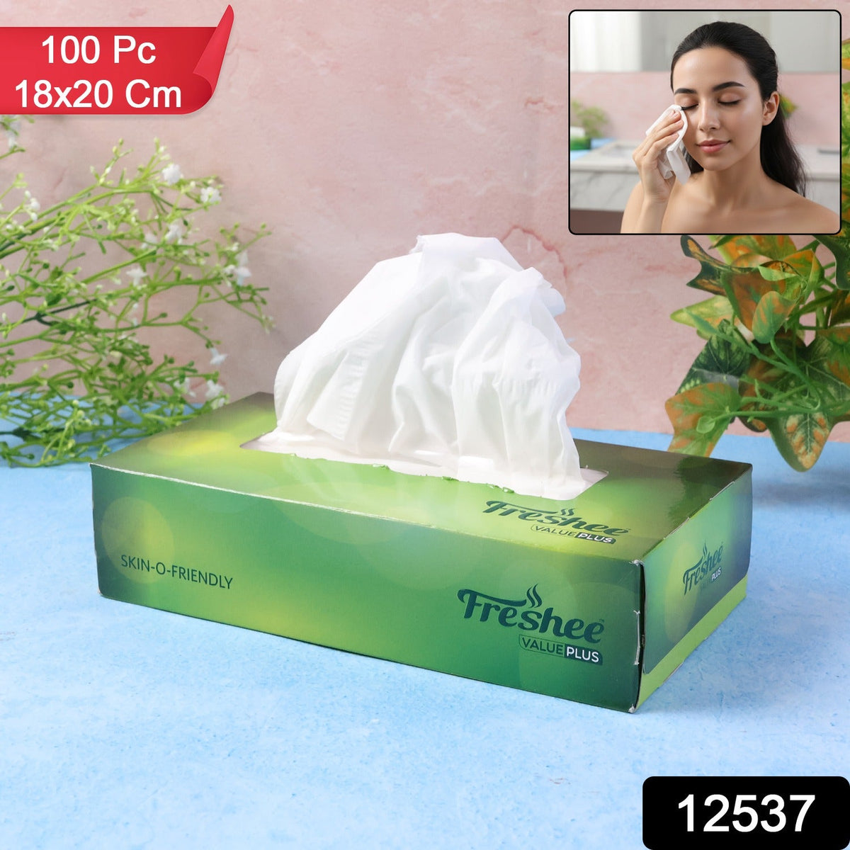 Freshee Facial Tissue Pack with 100 Pieces