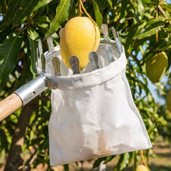 Manual fruit picker tool with collection bag