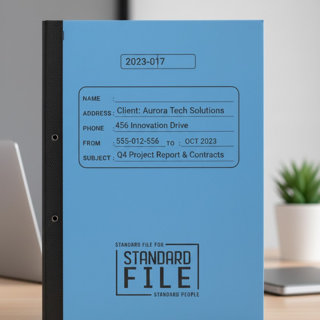 Standard File Plastic Clip â€“ A4 Paper Holder (33Ã—26 cm / 4 Pc)