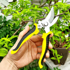 Steel pruner cutter plants