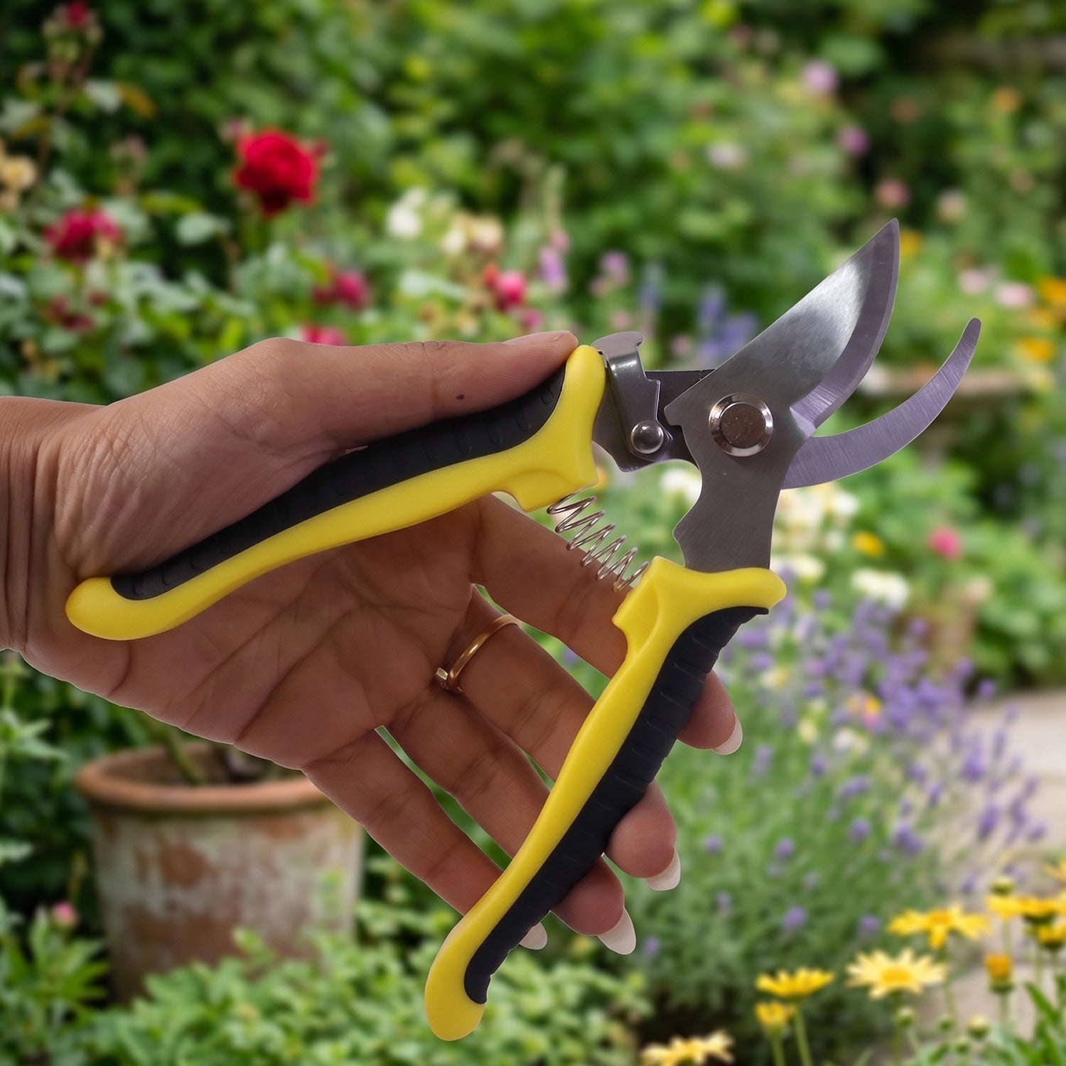 Using garden pruner to cut plant stem