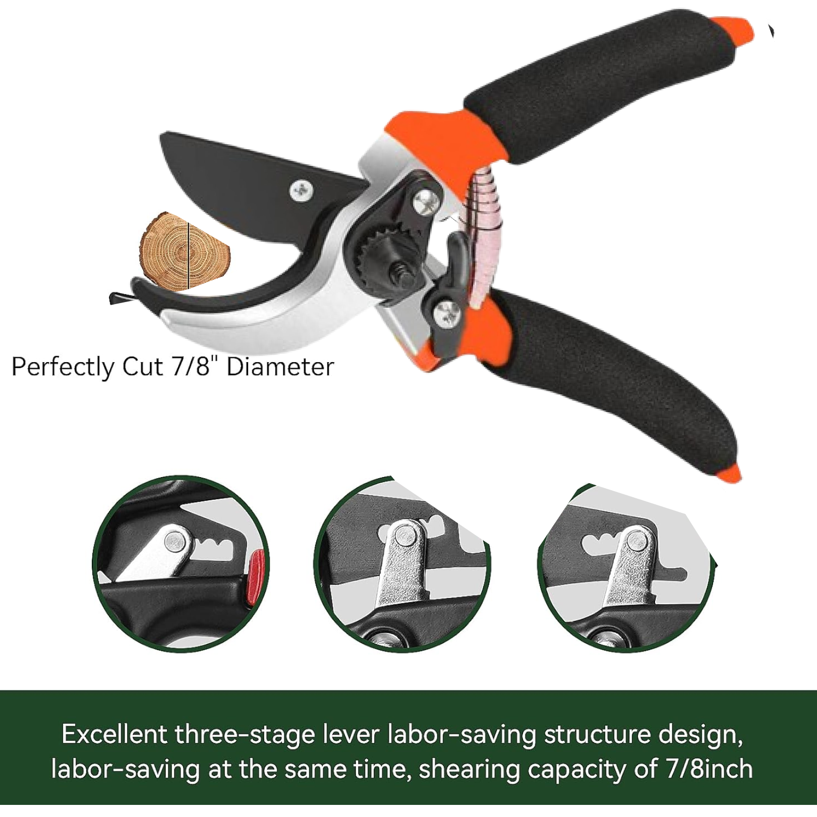 Close-up of pruning shear blade with non-stick coating