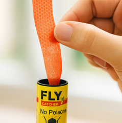 Diagram showing fly trap features
