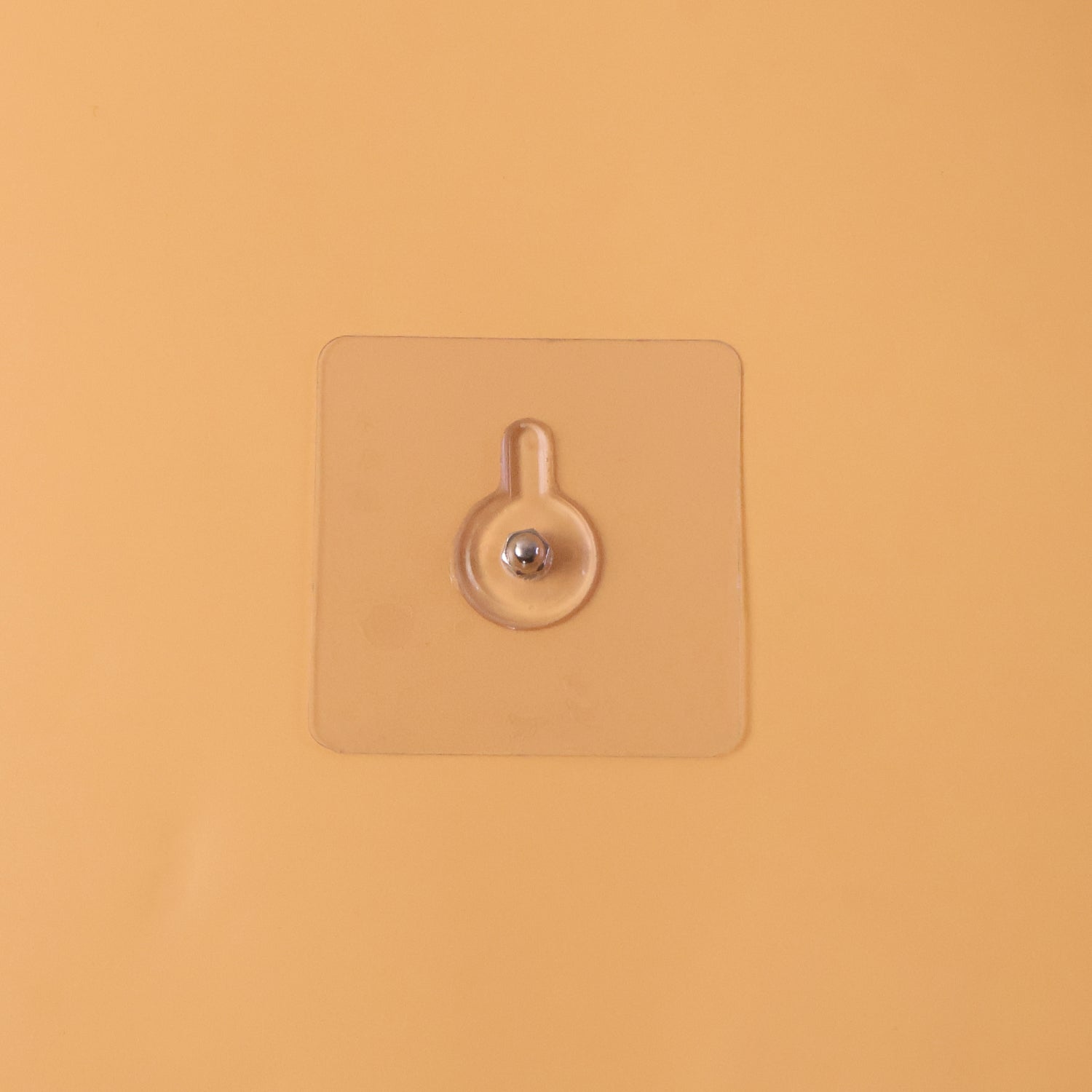 Adhesive wall hook in daily use
