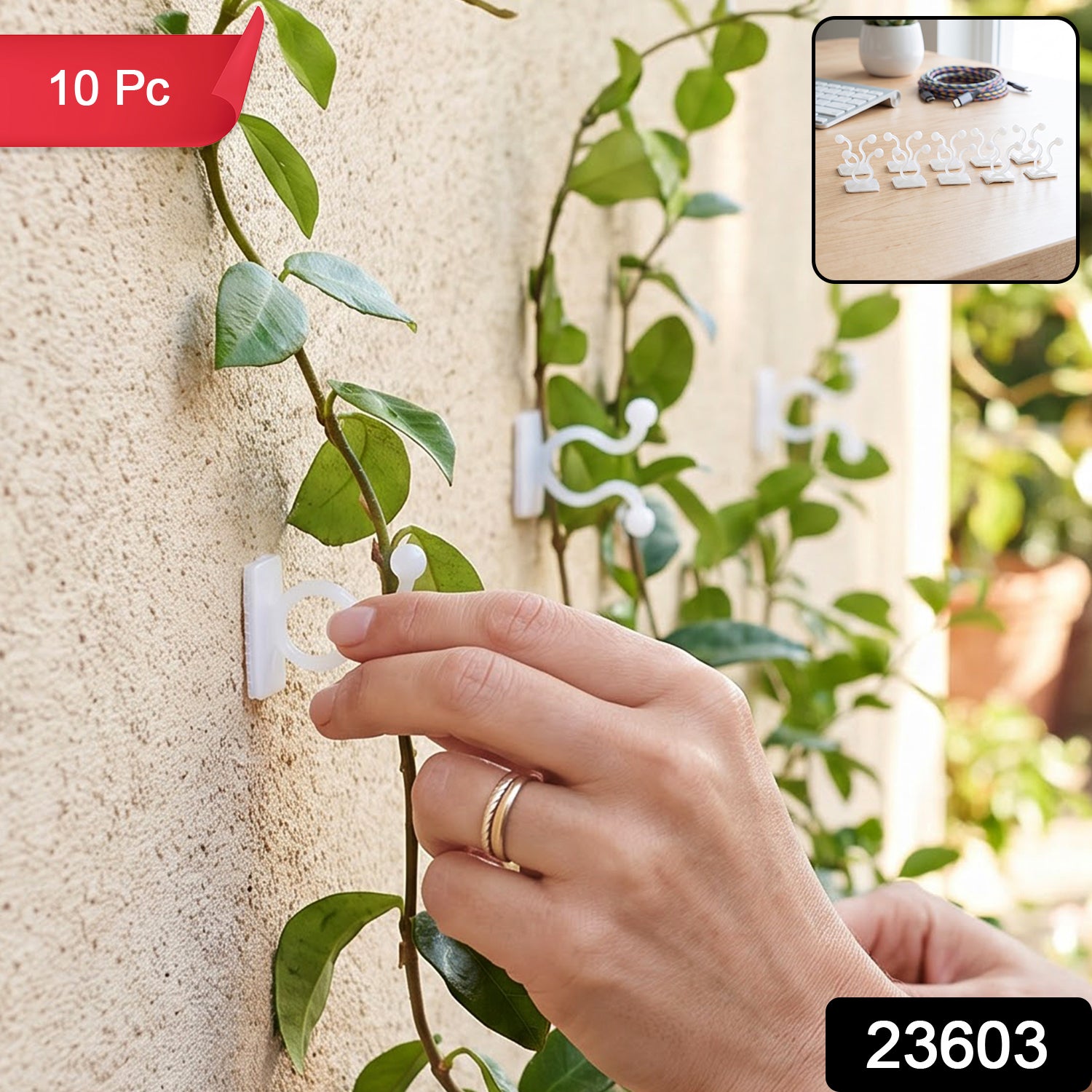 A person's hands attach a white plastic self-adhesive plant clip to a climbing vine on a textured wall outdoors. â€“ view 2