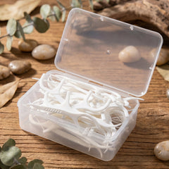Portable case holding dental flosser sticks