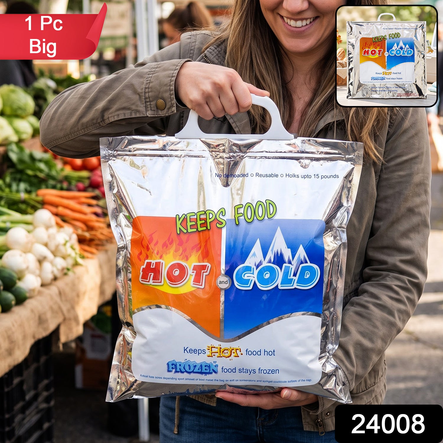 24008 big insulated food storage bag