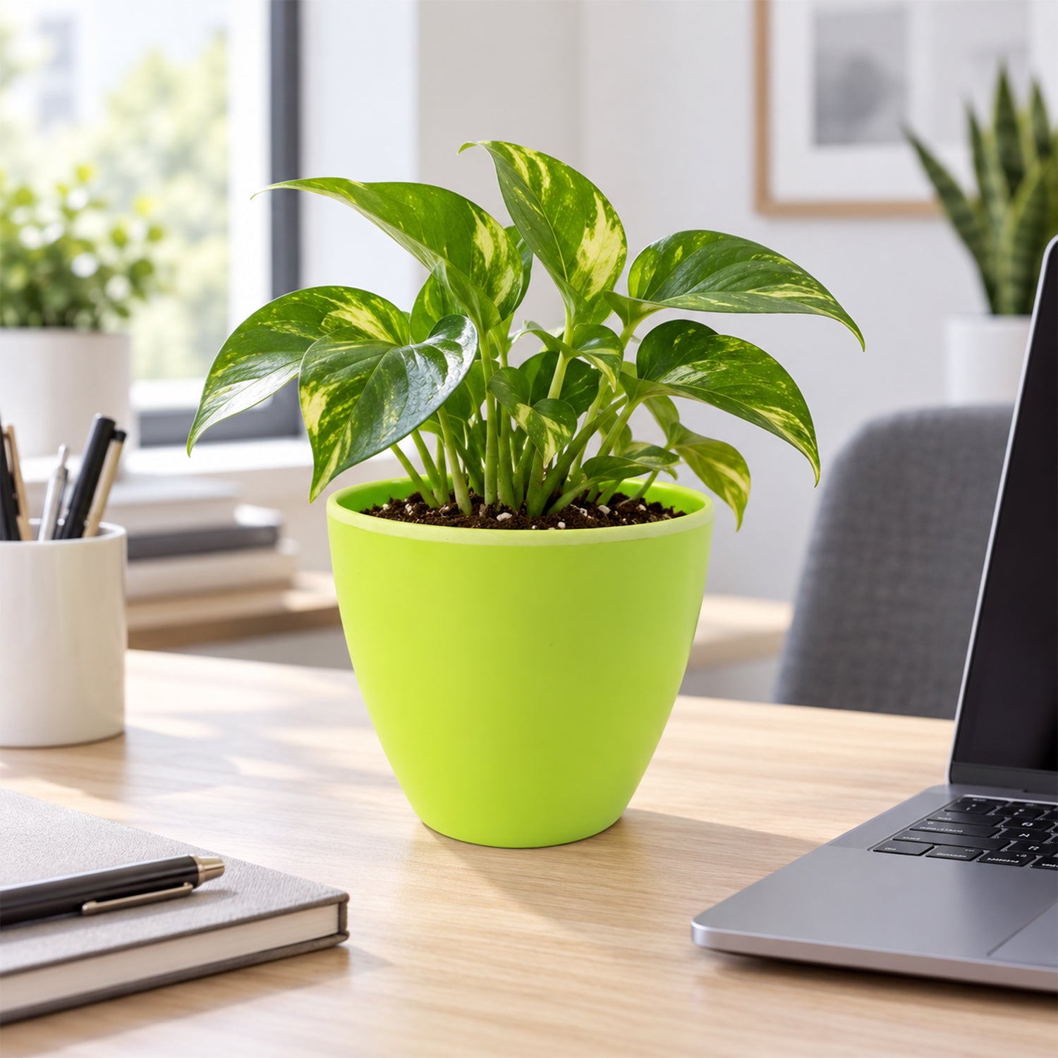 A green plastic pot with a vibrant plant on a wooden desk, alongside a laptop, notebook, and pen holder.