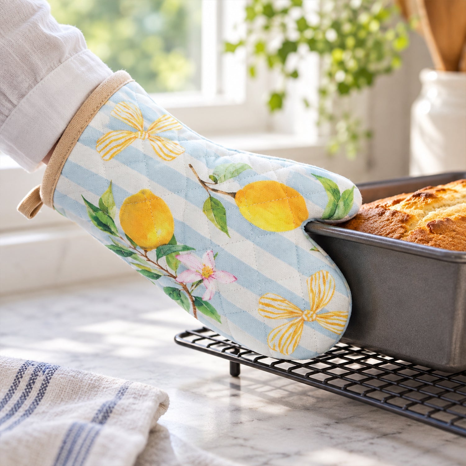 Oven glove interior view
