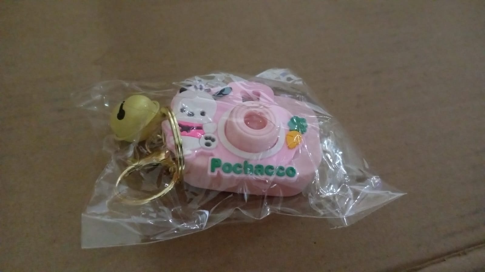 Wide view of projective camera keychain with bright colors