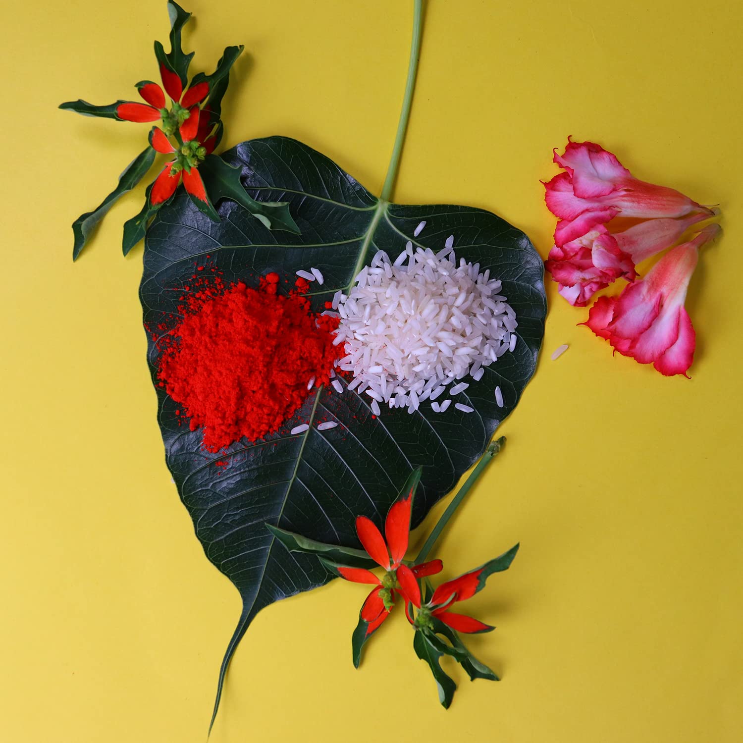 (K2_403+404_EM) Rakhi Combo with Chocolate Magic, Rakhi & Chocolate for brother, Fancy Rakhis for men stylish, rakhi with gift, Rakhi Combo, Set of 2, Chocolate