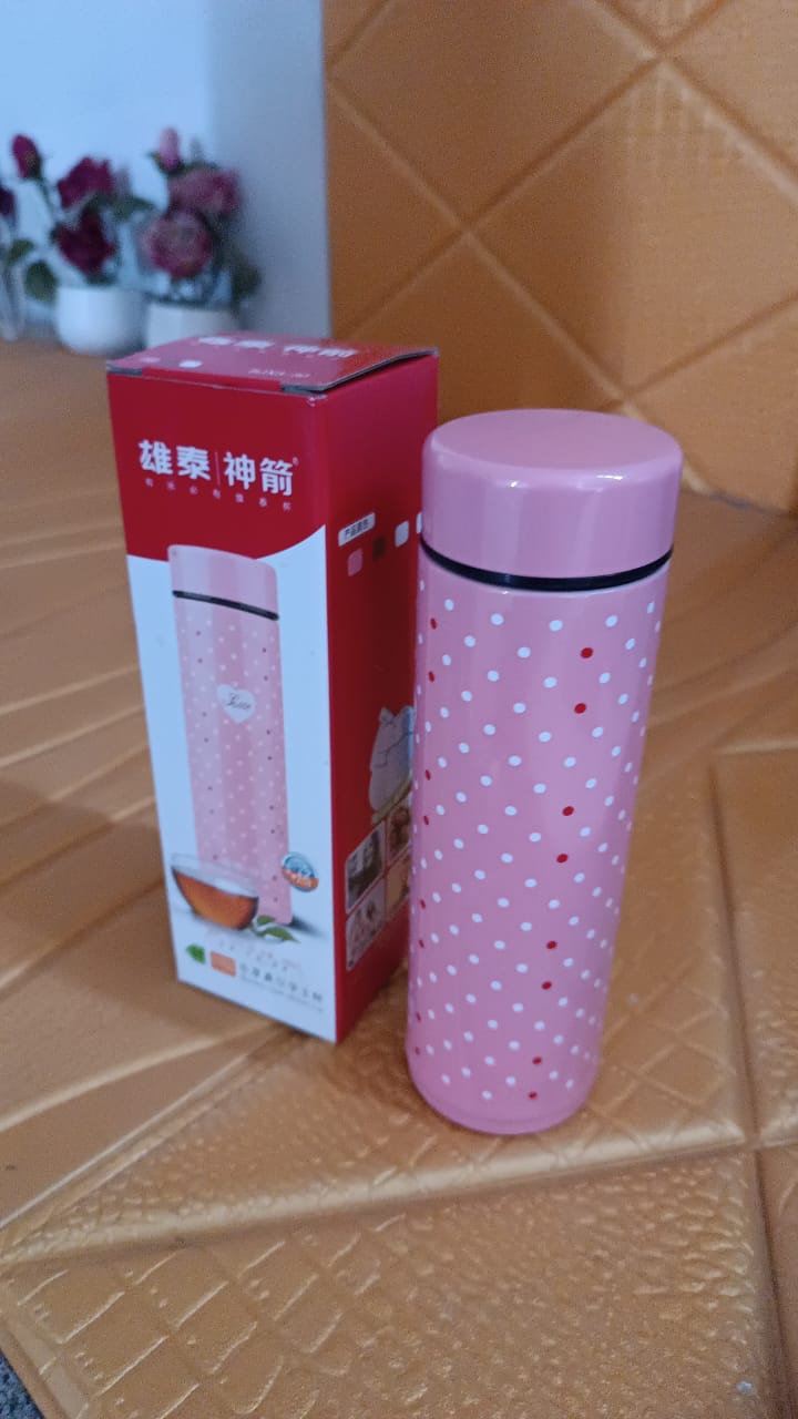 Water Bottle for Kids â€“ Insulated Stainless Steel Bottle (300 ML / 1 Pc)