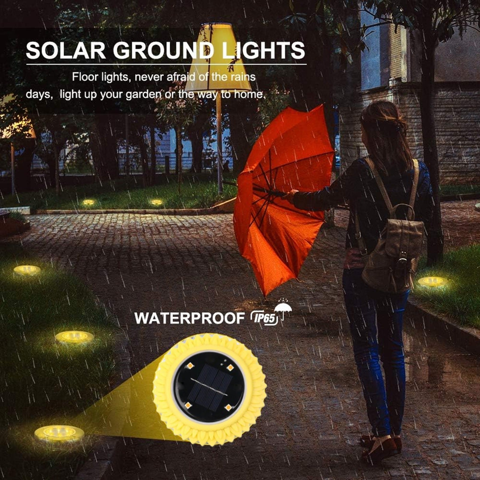 Solar ground lights installed along outdoor walkway